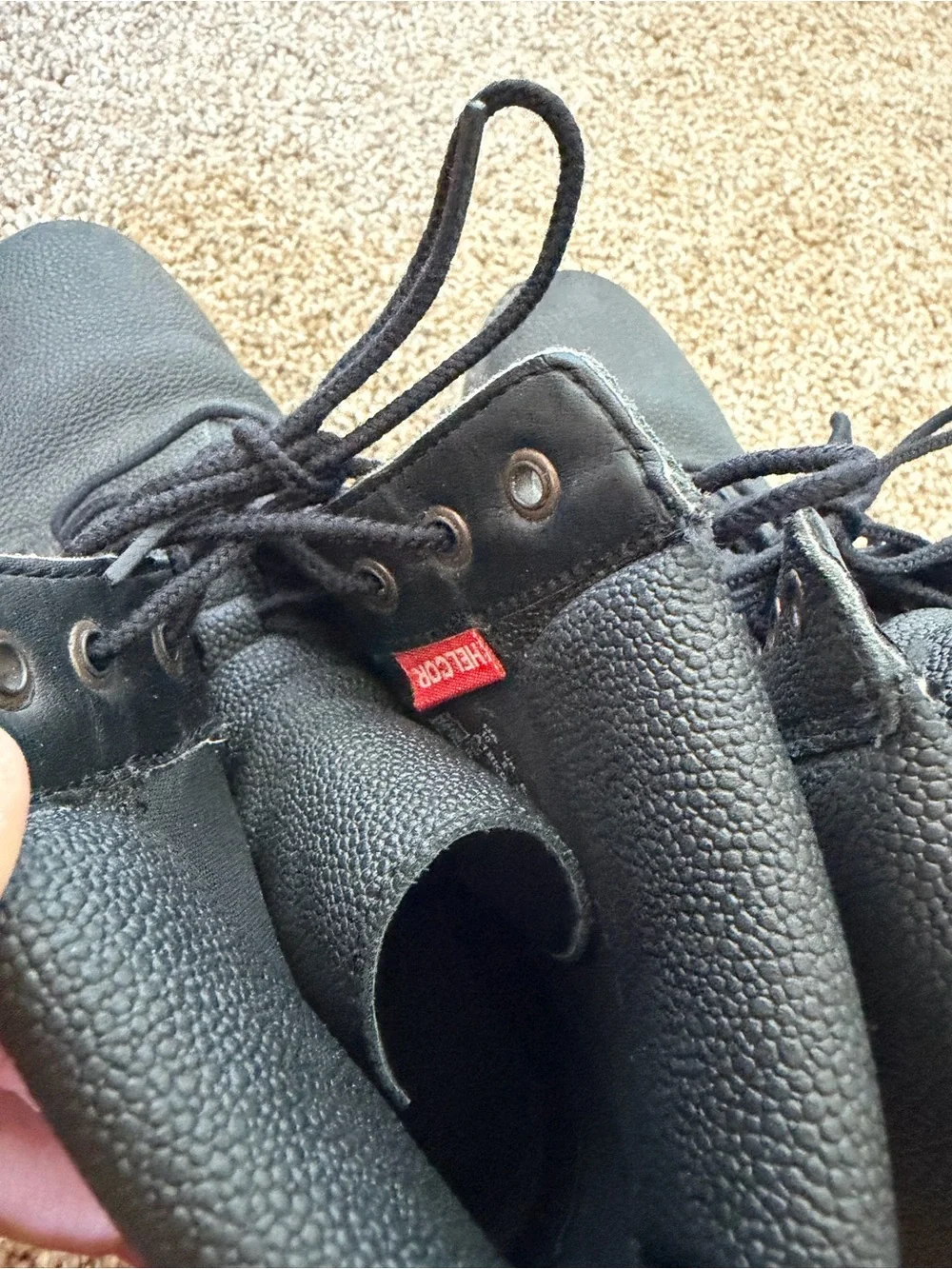 Timberland great photos